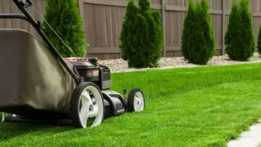 Lawn Mowing