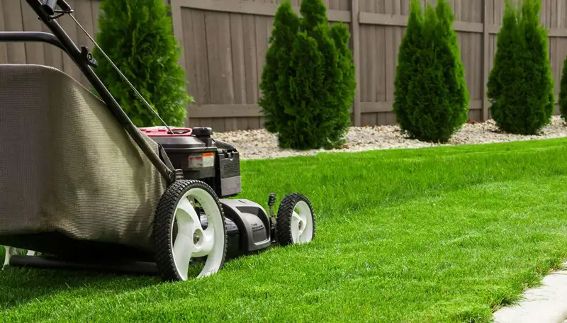 Lawn Mowing