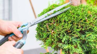 Gardening Services