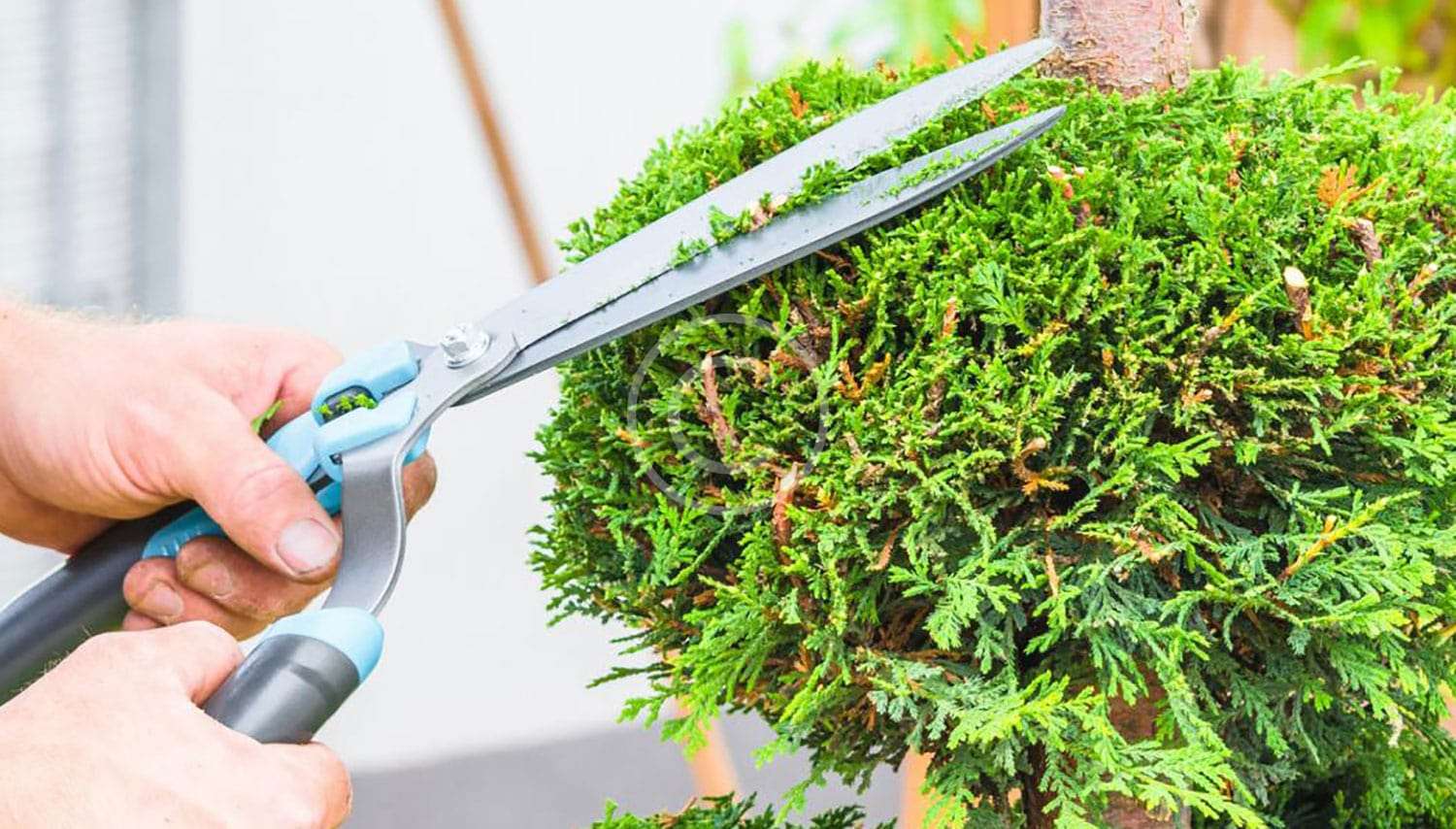 Gardening Services