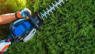 Hedge Trimming & Pruning